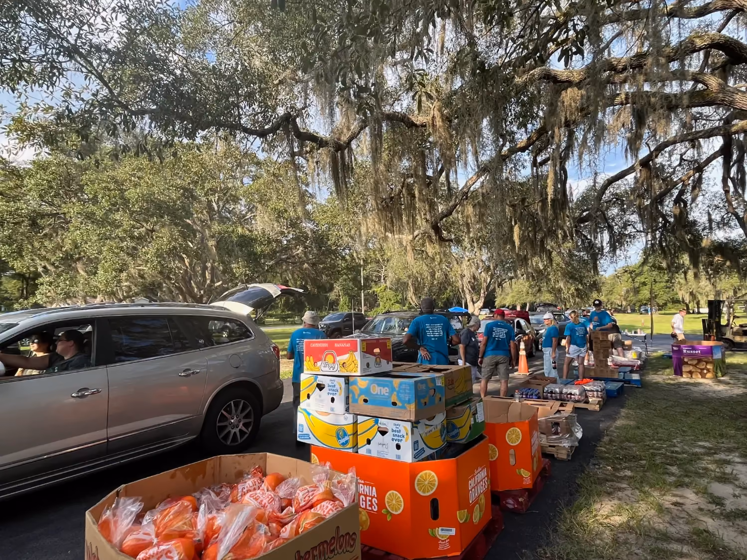 Volunteers in teal shirts load a car at a drive-through distribution, beside stacked boxes of oranges and bananas under live oaks.